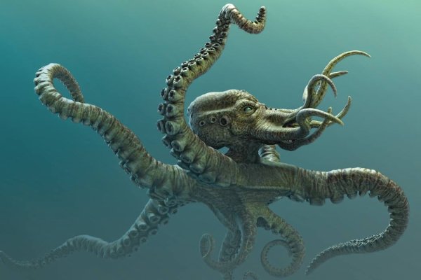 Kraken сайт анонимных покупок