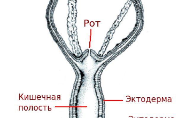 Кракен даркнет официальный